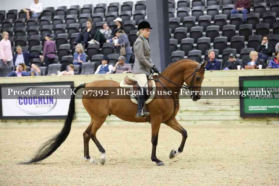 Proof 22BUCK_07392