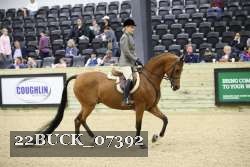 22BUCK_07392 proof