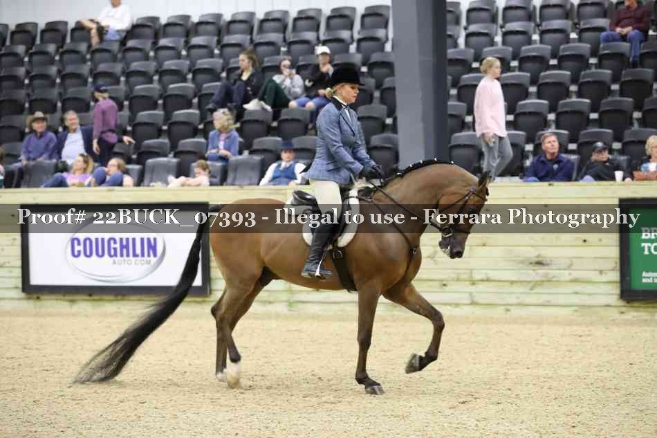 Proof 22BUCK_07393