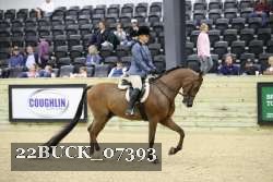 22BUCK_07393 proof