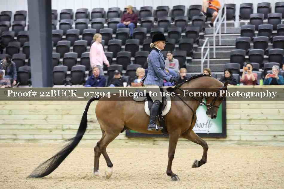 Proof 22BUCK_07394
