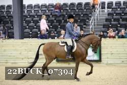 22BUCK_07394 proof