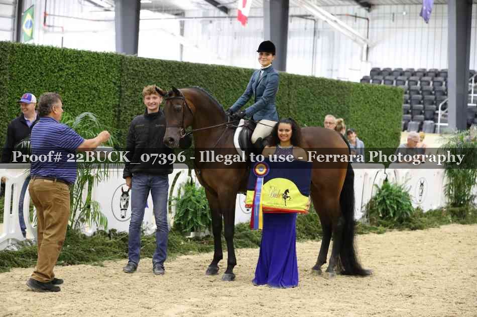 Proof 22BUCK_07396