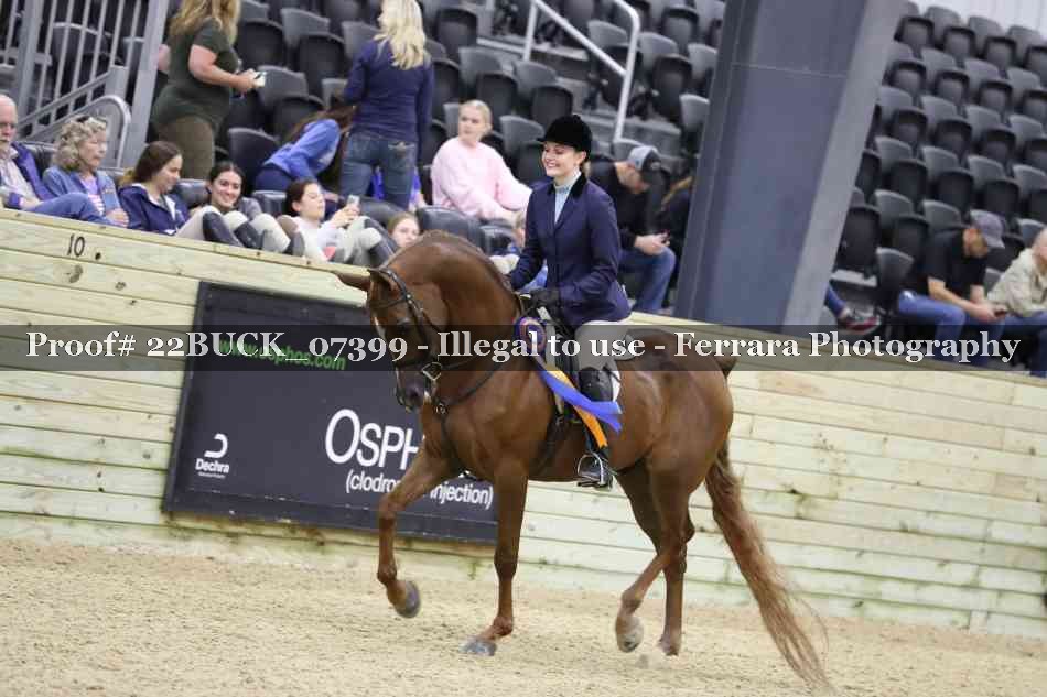 Proof 22BUCK_07399