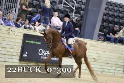 22BUCK_07399 proof