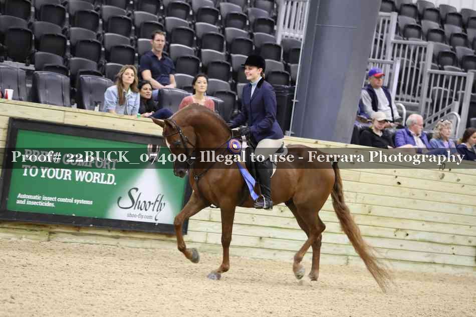 Proof 22BUCK_07400