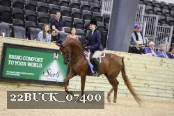 22BUCK_07400 proof