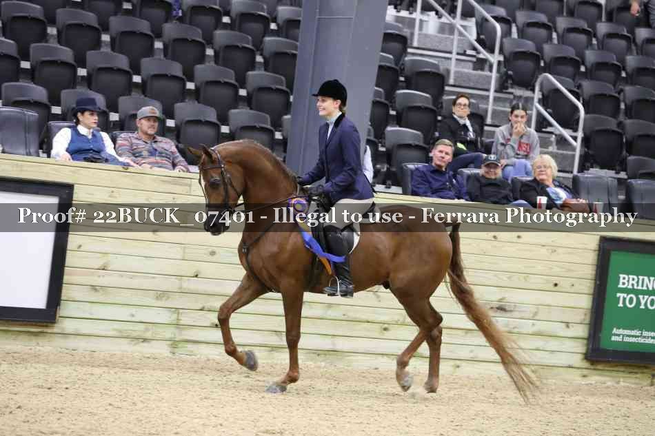 Proof 22BUCK_07401