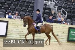 22BUCK_07401 proof