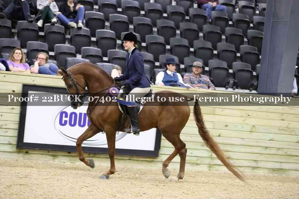 Proof 22BUCK_07402