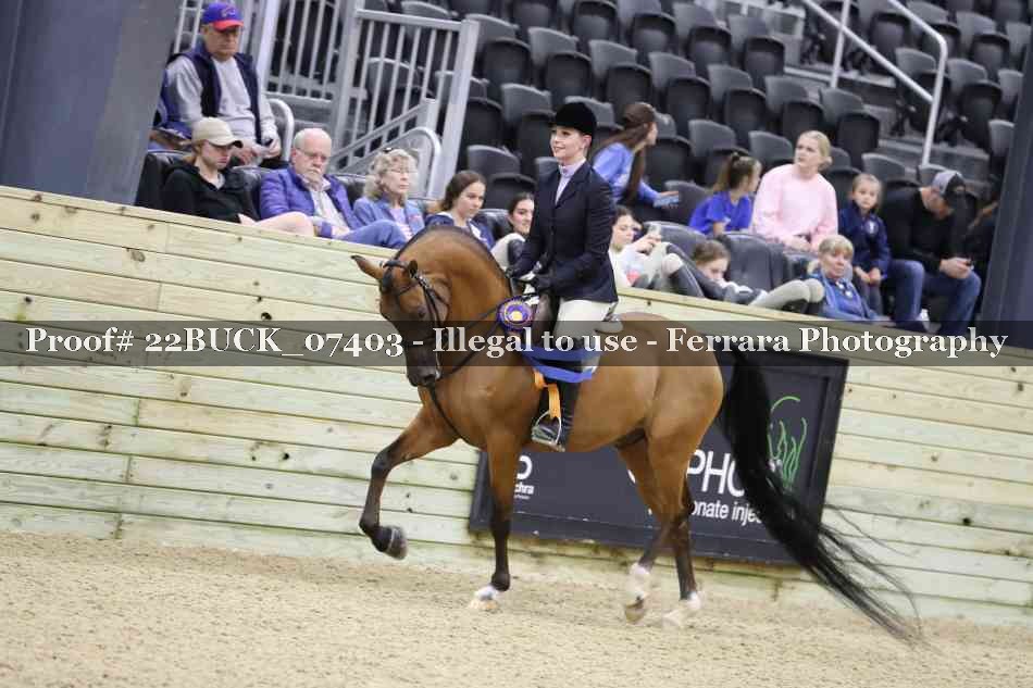 Proof 22BUCK_07403