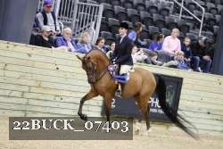 22BUCK_07403 proof