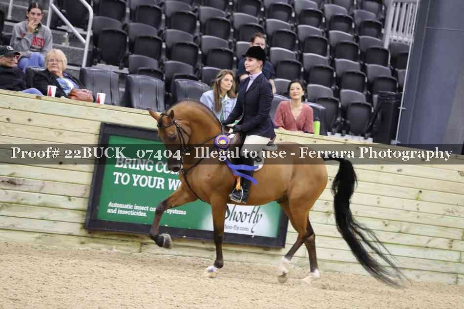 Proof 22BUCK_07404