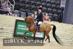 22BUCK_07404 proof