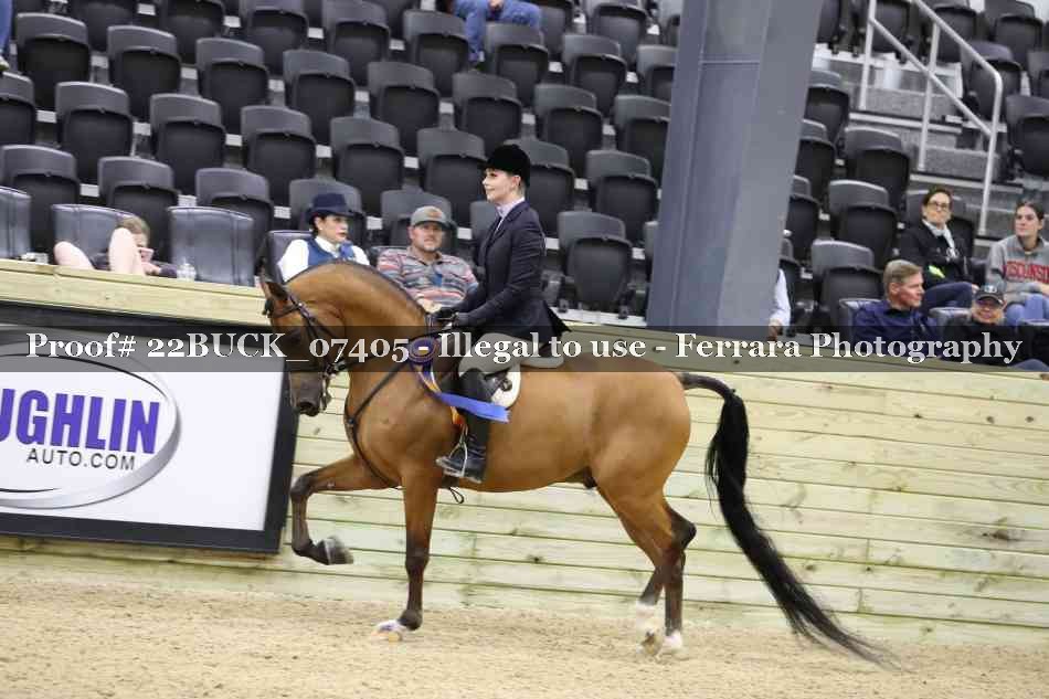 Proof 22BUCK_07405