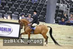 22BUCK_07405 proof
