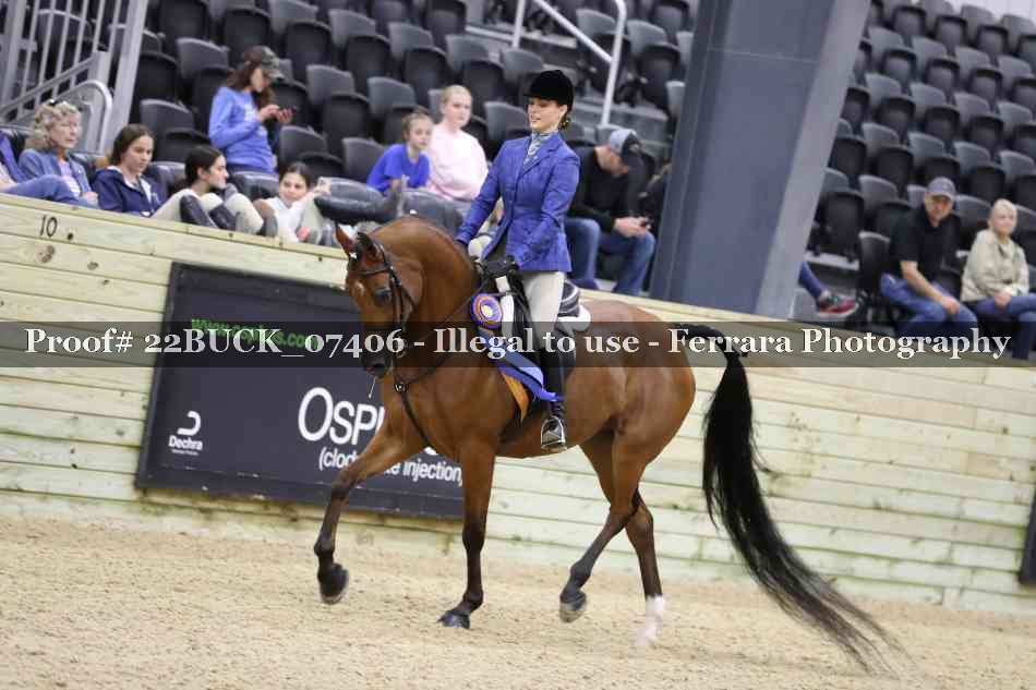 Proof 22BUCK_07406