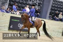 22BUCK_07406 proof