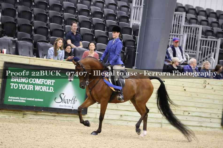Proof 22BUCK_07407