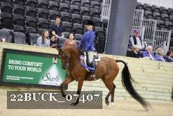 22BUCK_07407 proof