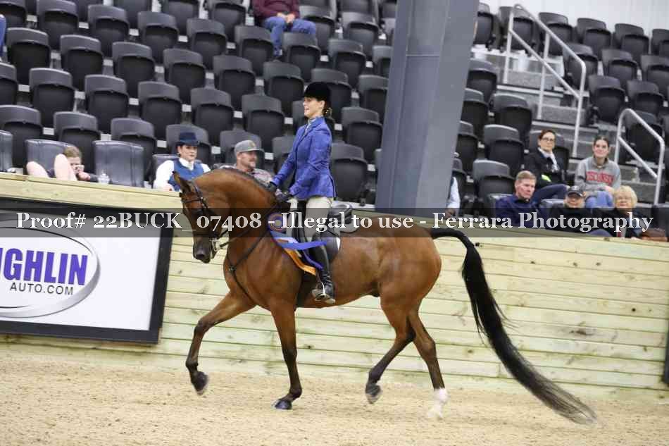 Proof 22BUCK_07408