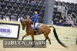 22BUCK_07408 proof