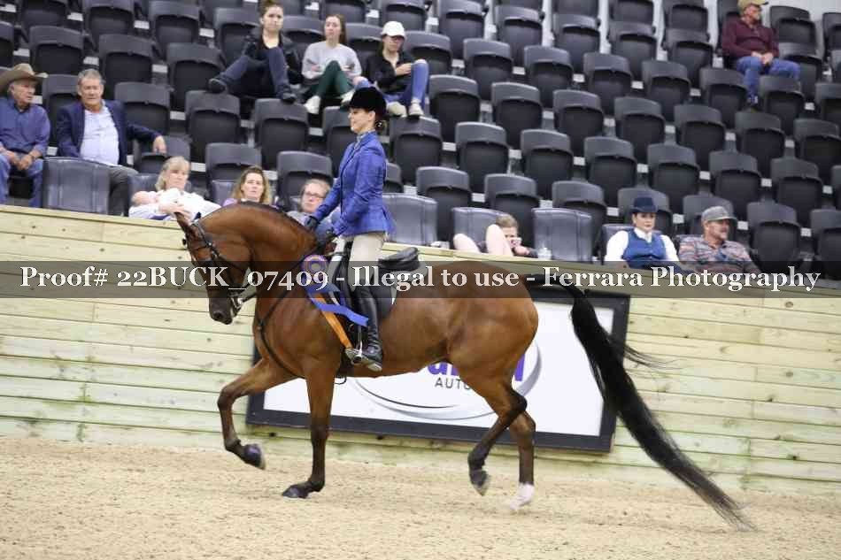 Proof 22BUCK_07409