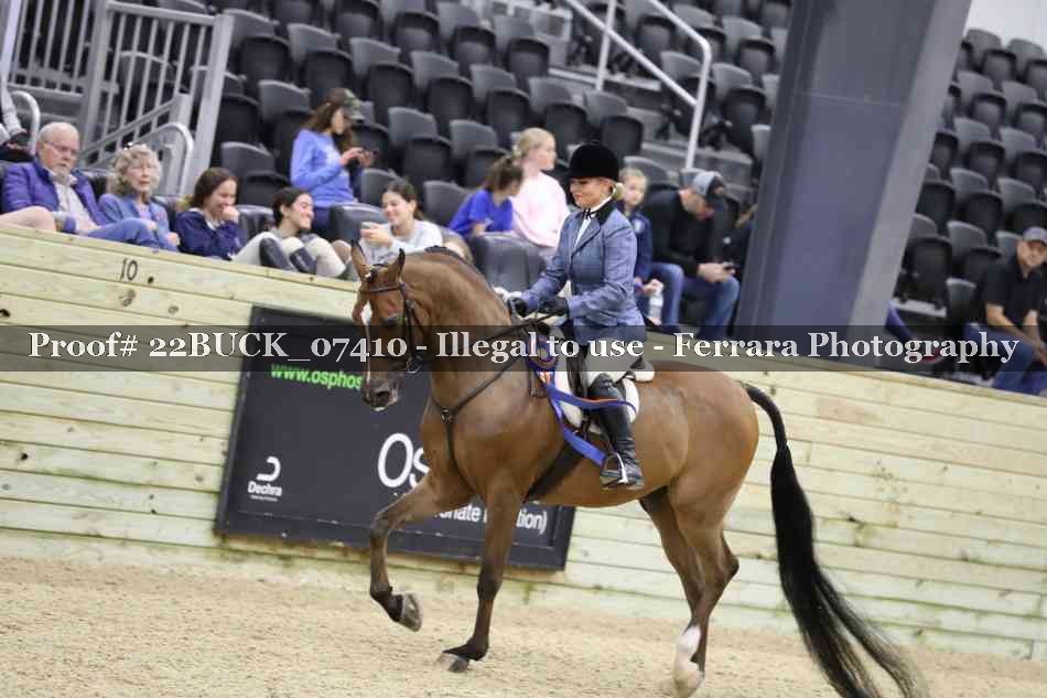 Proof 22BUCK_07410