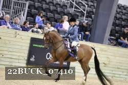 22BUCK_07410 proof