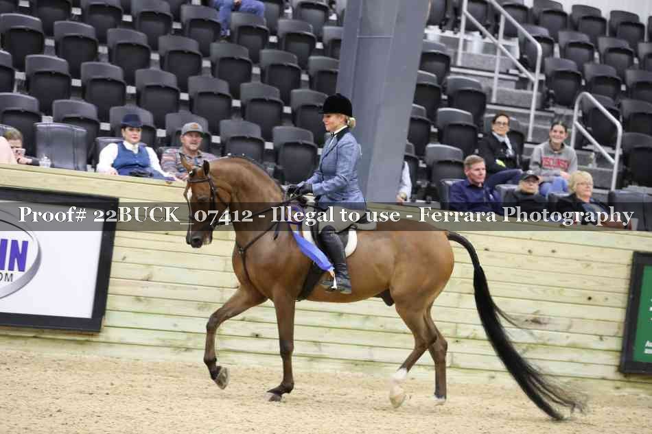 Proof 22BUCK_07412
