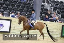22BUCK_07412 proof