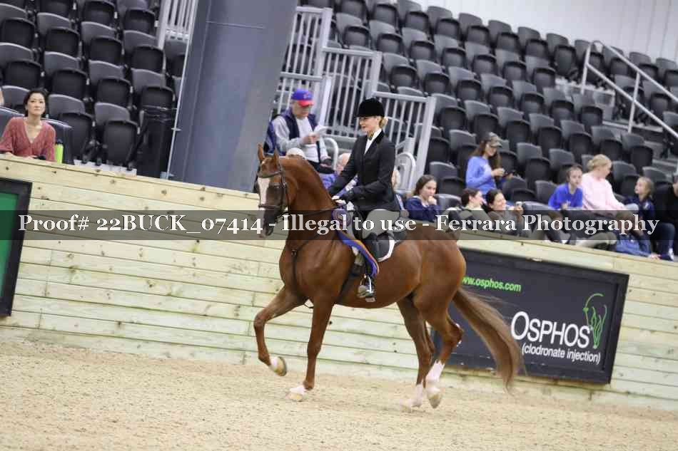 Proof 22BUCK_07414