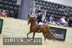 22BUCK_07414 proof