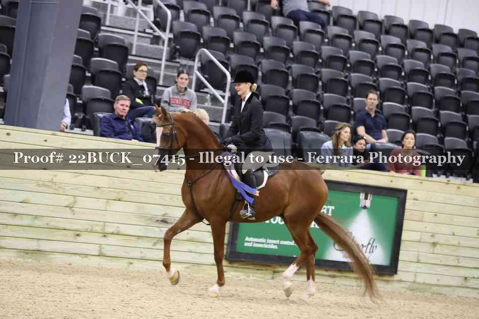 Proof 22BUCK_07415
