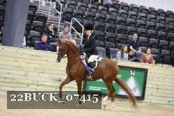 22BUCK_07415 proof