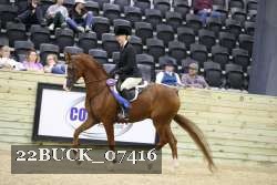 22BUCK_07416 proof