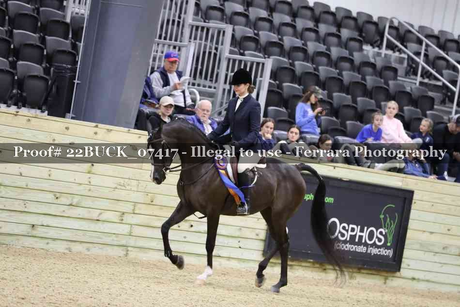 Proof 22BUCK_07417