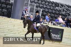 22BUCK_07417 proof