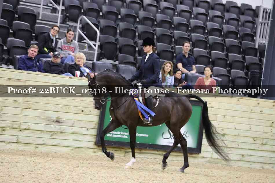 Proof 22BUCK_07418