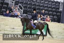 22BUCK_07418 proof
