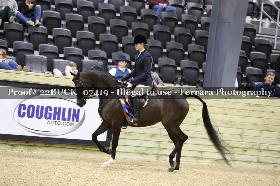 Proof 22BUCK_07419