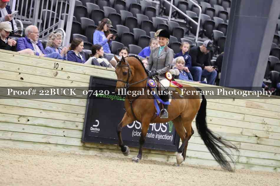 Proof 22BUCK_07420