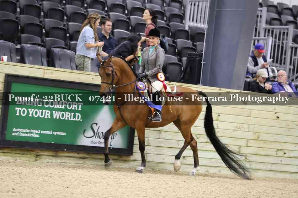 Proof 22BUCK_07421
