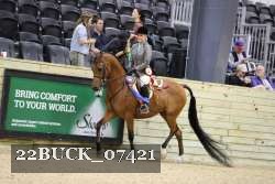 22BUCK_07421 proof