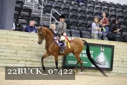 22BUCK_07422 proof