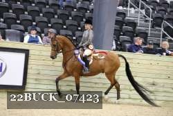 22BUCK_07423 proof