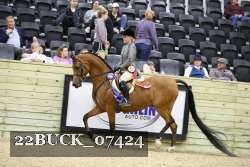 22BUCK_07424 proof