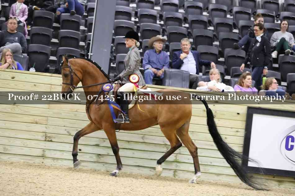 Proof 22BUCK_07425