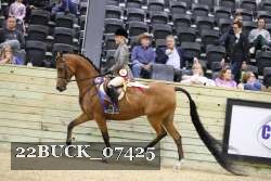 22BUCK_07425 proof