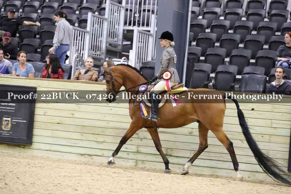 Proof 22BUCK_07426